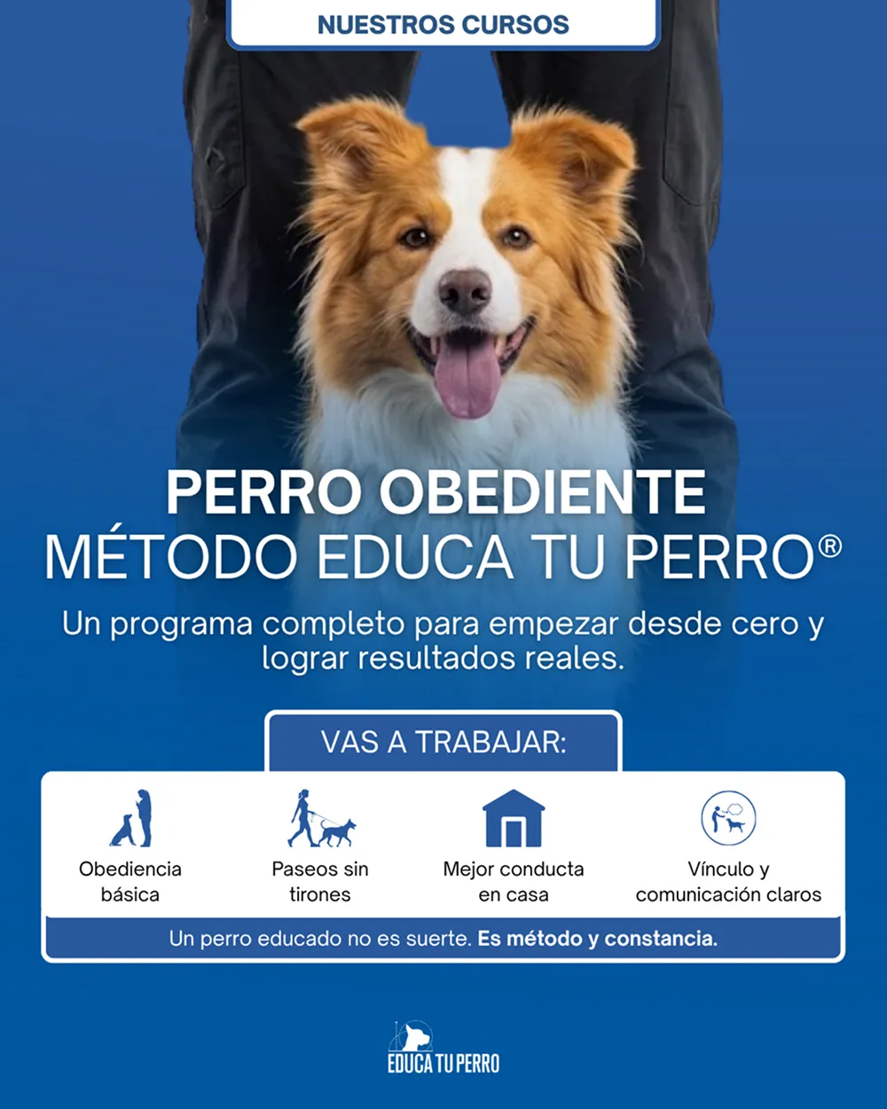Educa Tu Perro 4